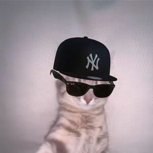 อัลบั้มของฉัน