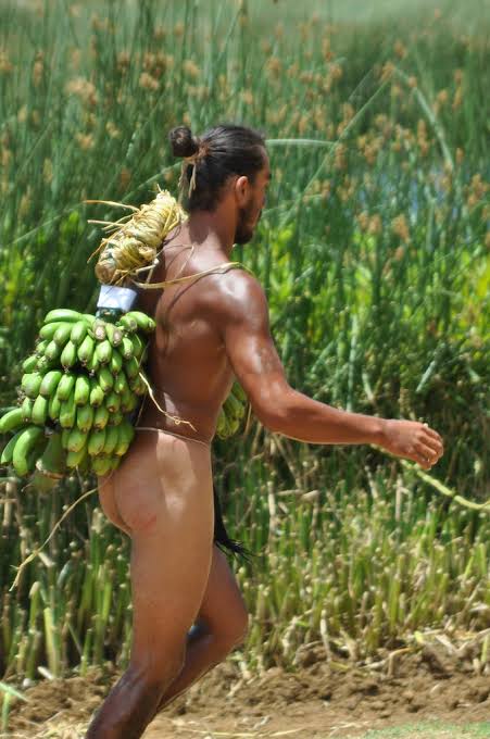 images_24.jpeg