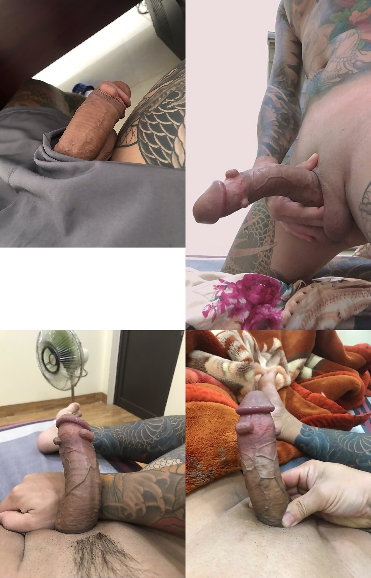695a59e783581-800-cock (1).jpg
