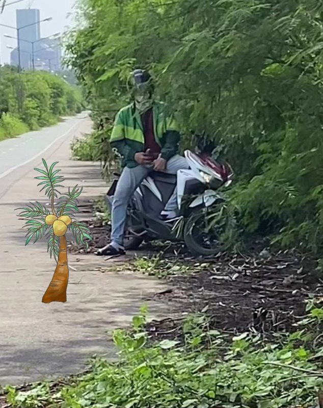 #-2.jpg