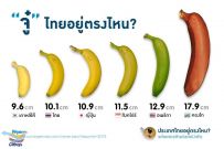 จู๋ ไทยอยู่ตรงไหน‏