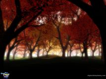 รถสวยๆๆคราฟ