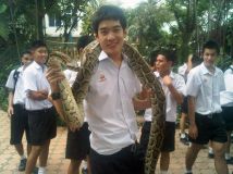 ตกใจหมดเลย (S-1234)